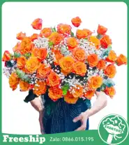 Giỏ Hoa Chúc Mừng Phát Triển Bền Vững - Mã: I-174 - Giá: 750.000đ