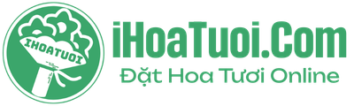 iHoaTuoi.Com Đặt Hoa Tươi Online